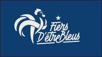 Ah ! Chic, c'est l'Euro de foot ! Les Bleus sont maniaque !