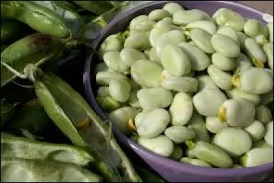 Toute l'équipe nous acceuille et nous serre un apéro agrémenté de jolies parts de fèves.