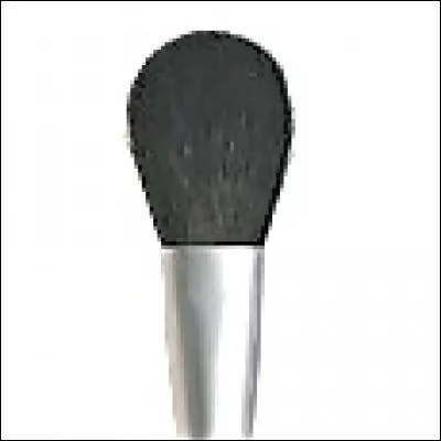 Qu'est-ce que ceci ?