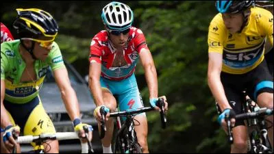 Qui a remporté l'édition 2016 du Giro?