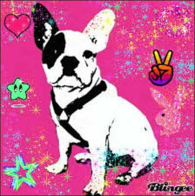 Connaissez-vous vraiment les chiens ?
Est-ce que les chiens hibernent ?