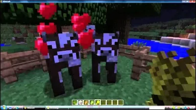 Comment faire reproduire 2 vaches ?