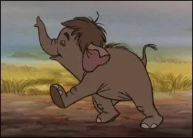Elephanteau que l'on retrouve aussi dans ' le livre de la jungle ' de Disney.