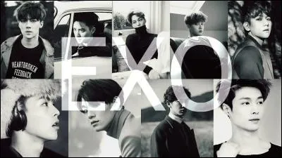 Qui est le leader des Exo ?