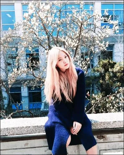 A quel groupe appartient ce membre ?