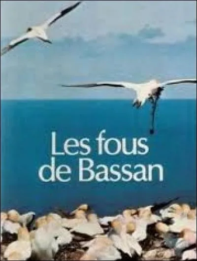 Saurez-vous reconnaitre un Fou de Bassan ? Alors cliquez sur le bon oiseau marin :