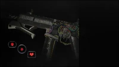 Comment s'appelle ce camouflage ?