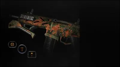 Comment s'appelle ce camouflage ?