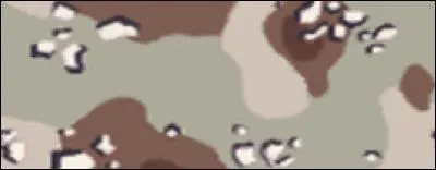 Comment s'appelle ce camouflage ?