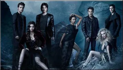Comment s'appelle le groupe de chasseurs de vampires ?