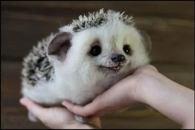 Alors, qu'allez-vous me dire pour cette photo ?