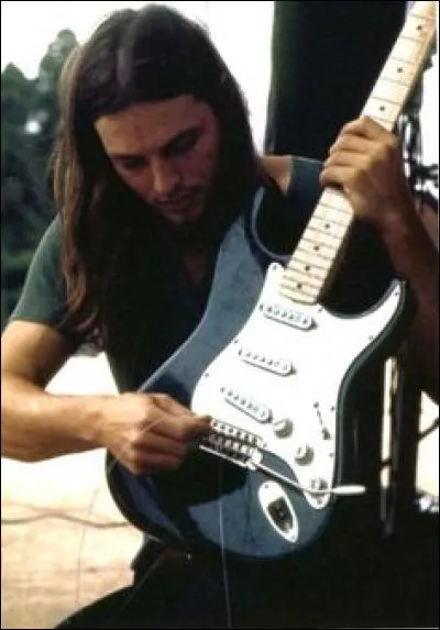 Quel est le modèle de guitare préféré de David Gilmour ou encore Jimmy Hendrix ?