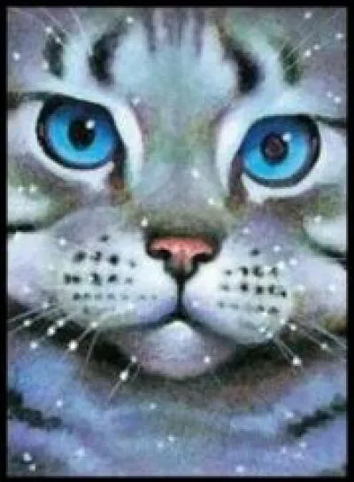 Comment Jolie Plume est-elle morte ?