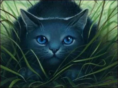 Comment s'appelle l'ancien chat domestique rencontré lors du voyage chez Minuit ?