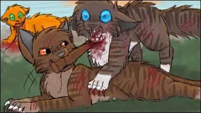 Comment Griffe de Ronce prouve-t-il sa loyauté à Étoile de Feu ?