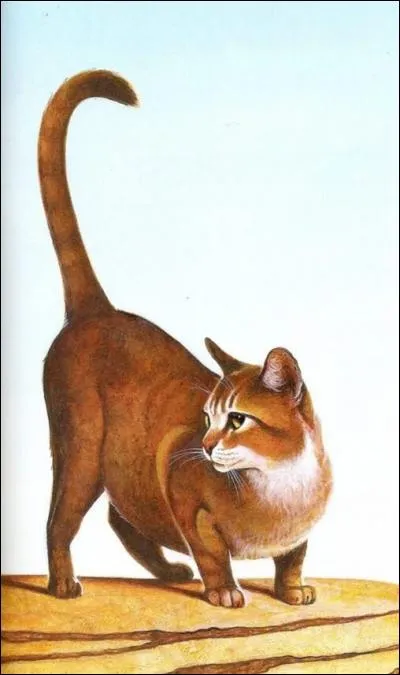 Pourquoi Serre et Nuit, chats de la tribu, viennent-ils voir le Clan du Tonnerre ?