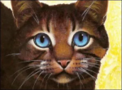 Dans la tribu, qui est Conteur ?