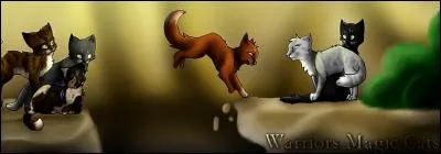 Comment se nomment les apprentis dans la Tribu ?