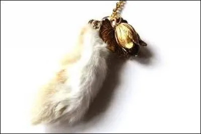 Quelle partie du lapin est considérée comme un porte-bonheur ?