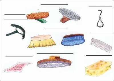 Quel est l'ordre des brosses ?