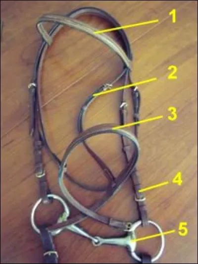 Quelles sont les parties du filet (dans l'ordre 1, 2, 3, 4, 5) ?