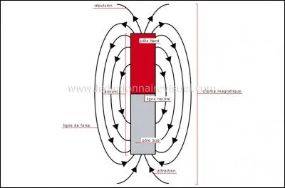 Une méthode plus exotique fait appel à l'étude de l'orientation des particules magnétiques contenues dans un objet. Comment se nomme-t-elle ?
