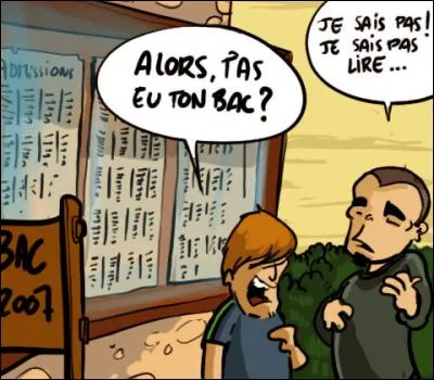 En 2014, combien de lycées ont affiché un taux de réussite de 100% au baccalauréat?