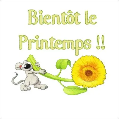 Quel mois voit arriver le printemps sur le calendrier ?
