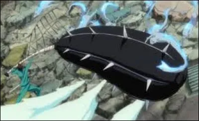 Quel est le zanpakuto de Love Aikawa ?