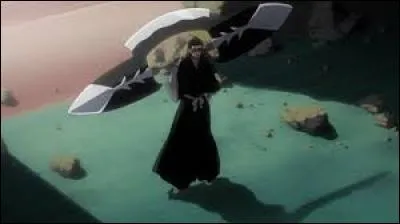 Quel est le zanpakuto de Makoto Kibune ?