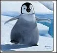 Quel est le prnom de ce petit pinguouin que l'on retrouve dans le film ' Happy Feet' ?