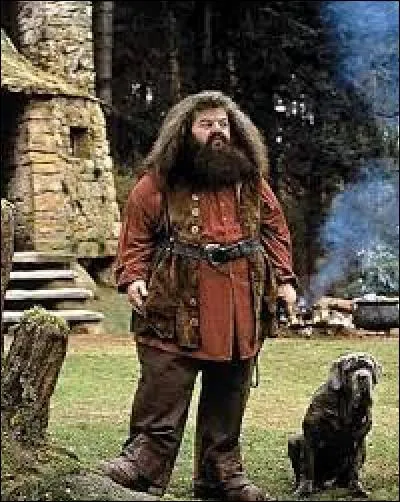 Comment s'appelle le chien domestique qui accompagne Hagrid ?