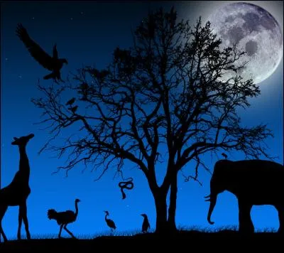 Aidez-moi, je dois faire un régime; je suis le plus gros animal sur la photo. Je suis...