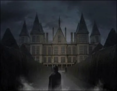 Dans le second tome de la saga, Drago confie à Harry et Ron, déguisés, qu'il se cache dans son manoir des objets secrets des Mangemorts. Mais où exactement ses objets se cachent-ils ?