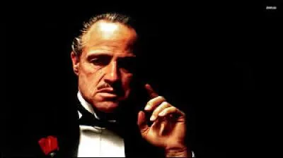 Quel acteur incarne Vito Corleone, chef de la famille Corleone, l'une des plus puissantes mafia des États-Unis dans le film "Le Parrain", sorti en 1972 ?