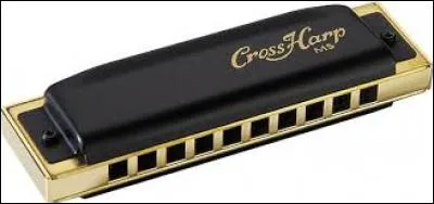 Quel est le nom de cet instrument de musique à vent ?