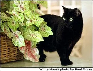 Et India, quel prsident fut son matre ?