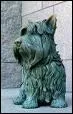 Ce chien a mme eu le droit  sa statue, il s'appelait Fala. Qui tait son matre ?