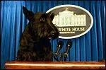 Ce chien appartient  Georges W. Bush. Quel est son prnom ?
