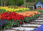 Quiz Visite guide d'un jardin fleuri