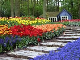Quiz Fleurs