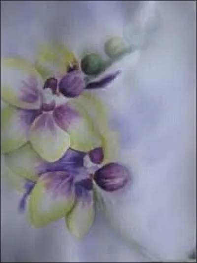 En sport, groupe de supporters exaltés :