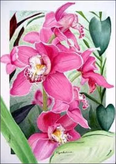 Unité monétaire du Laos :