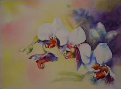 Bergerie en pierres sèches, en Provence :