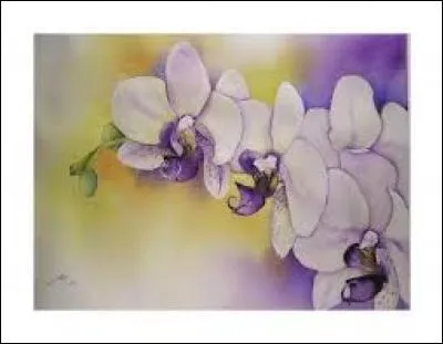 Ensemble d'une cinquantaine de langues parlées au Nigeria et en Côte d'Ivoire par environ 15 millions de personnes :