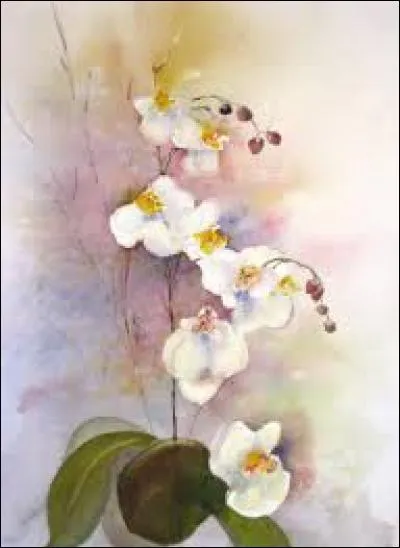 Extrait de terre chargée de manganèse :