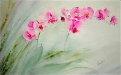 Système d'accès au réseau internet :