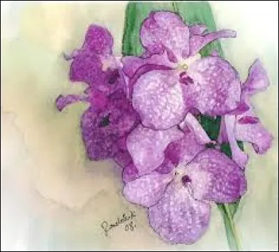 Protocole de communication permettant de se connecter à Internet à partir d'un téléphone mobile :