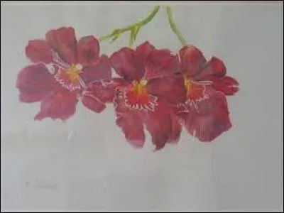 Au Canada, interjection indiquant de la désapprobation :