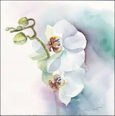 Unité monétaire de Corée :